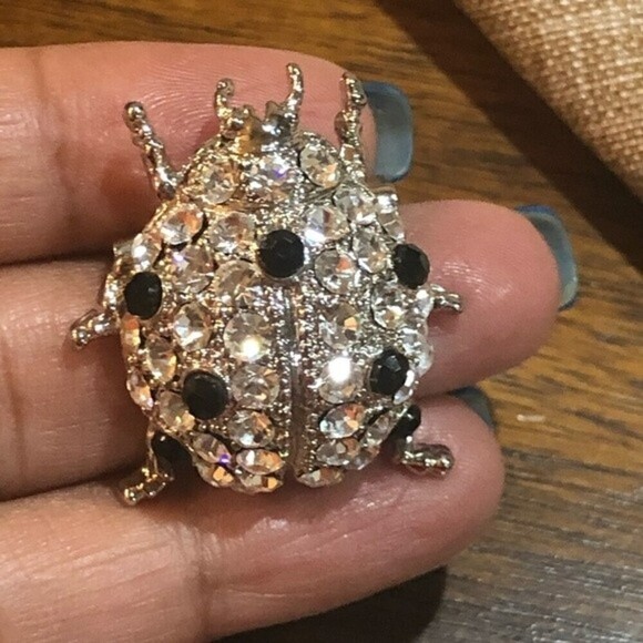 Beetle Ladybug Crystal Silver Black Insect Brooch Pin - Picture 4 of 7